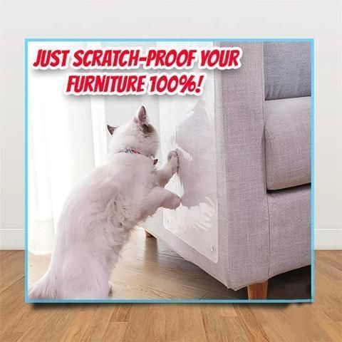 Anti-Scratch Cat Shield
