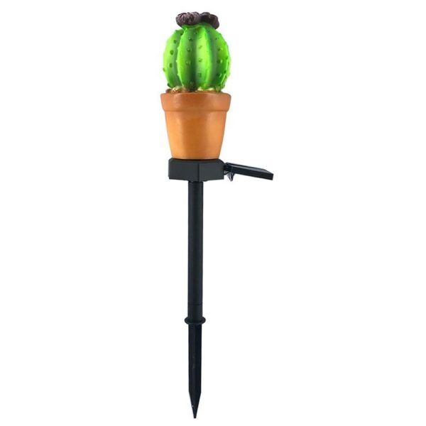 Cactus A (2).jpg