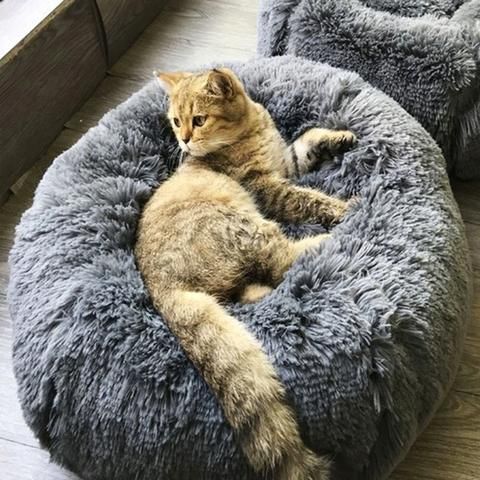 Anti-Anxiety Dog Bed