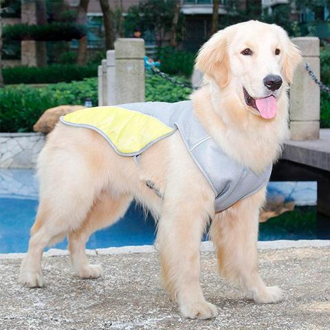 Dog Cooling Vest