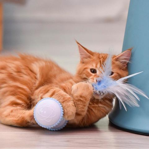 Smart Cat Toy