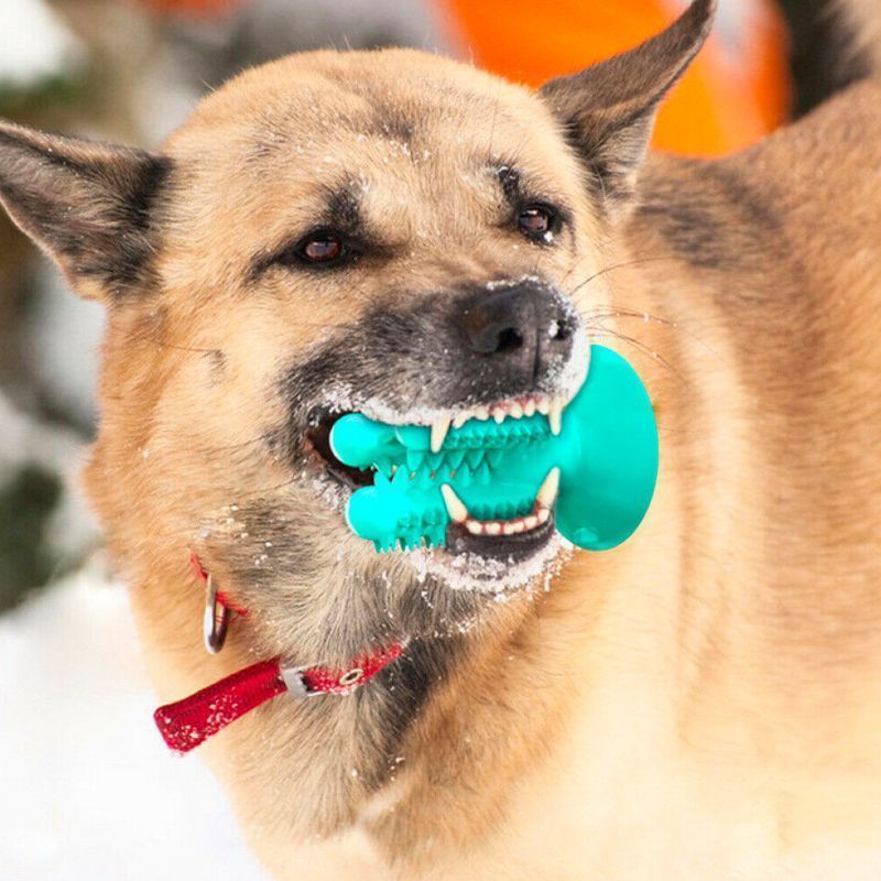 Dog Toothbrush