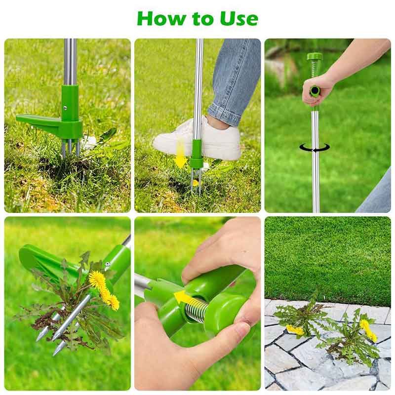 weed remover_0008_Layer 5.jpg