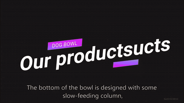 Slow Food Pet Bowl