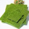 Spring Grass Carpet_0006_Layer 4.jpg