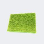 Spring Grass Carpet_0008_Layer 2.jpg