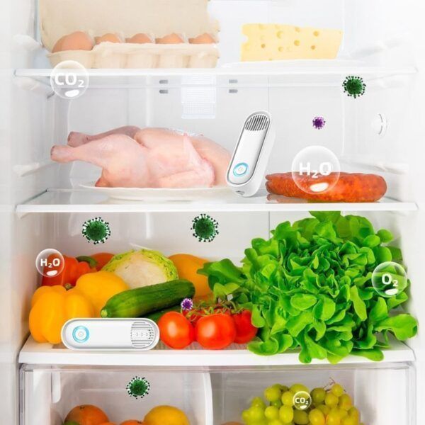 Refrigerator Deodorizer_0005_Layer 3.jpg