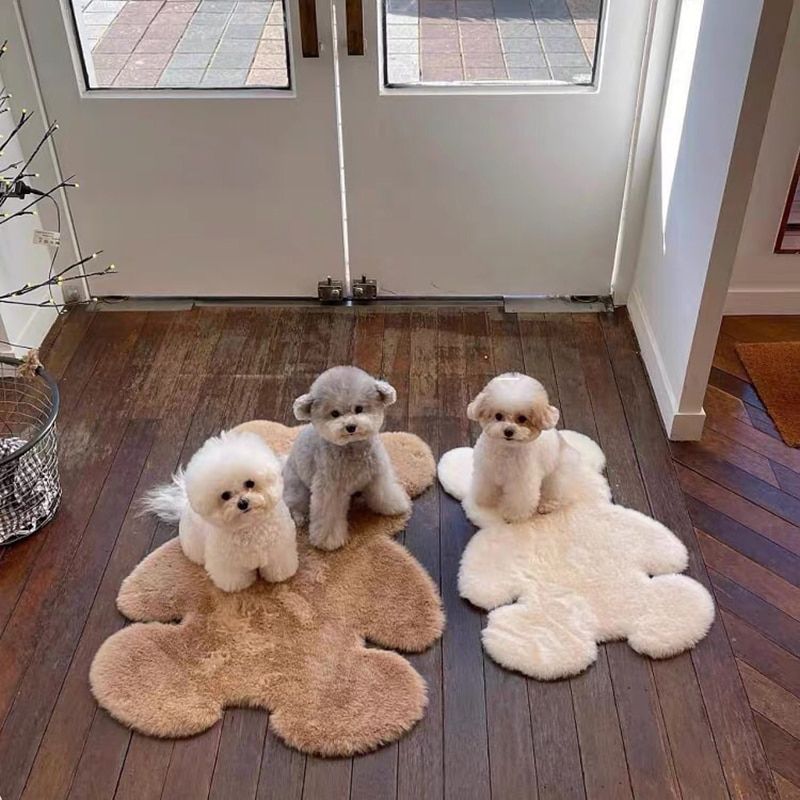 teddy bear carpete_0001s_0004_img_2_Bear_Carpet_Super_Soft_Carpet_Modern_Liv.jpg