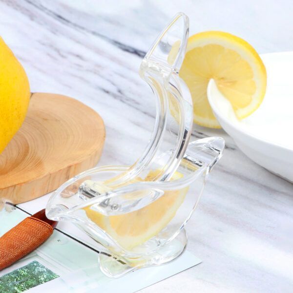 lemon juicer1.jpg