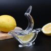 lemon juicer5.jpg
