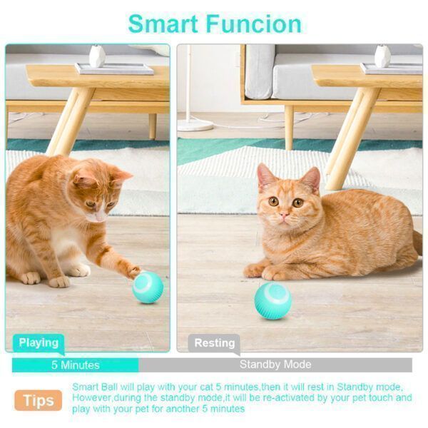 cat interactive ball7.jpg